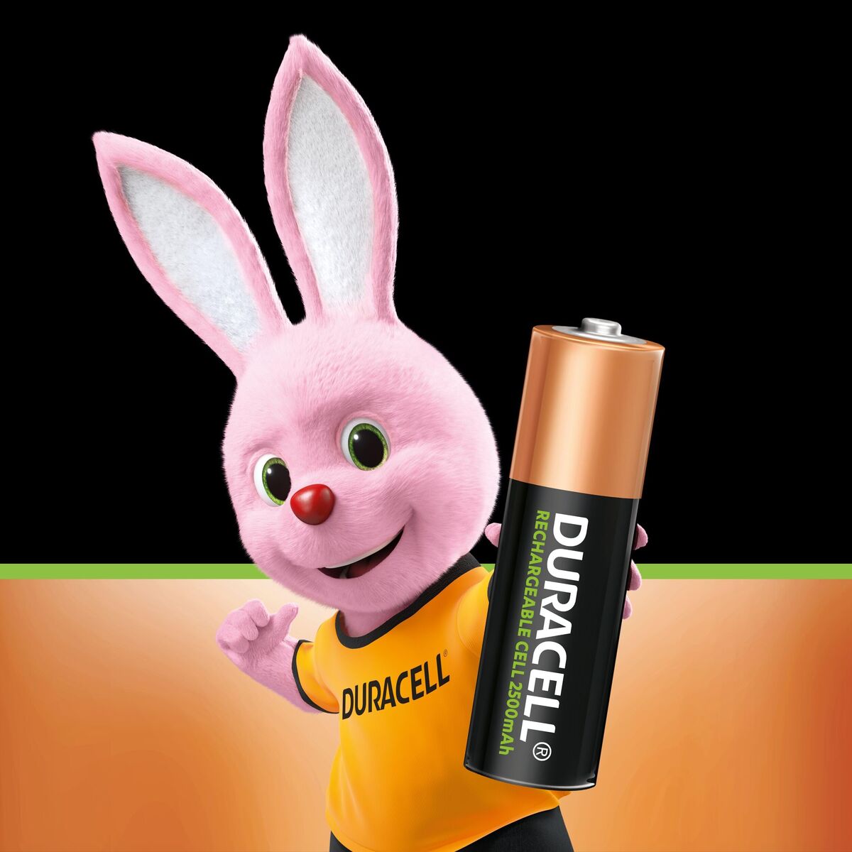 Rechargeable Batteries DURACELL 1,2 V AA